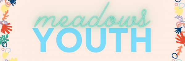 Image for Meadows youth