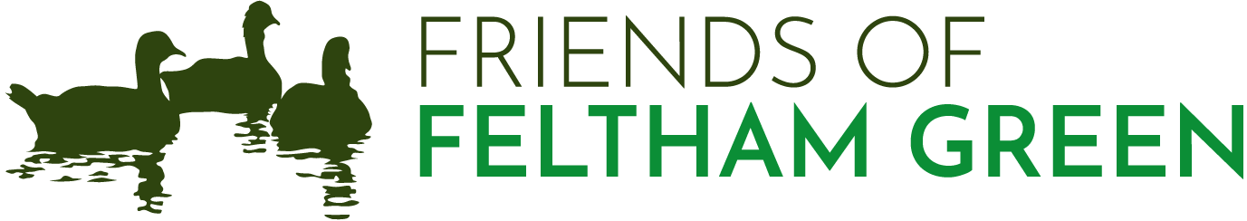 three ducks on water